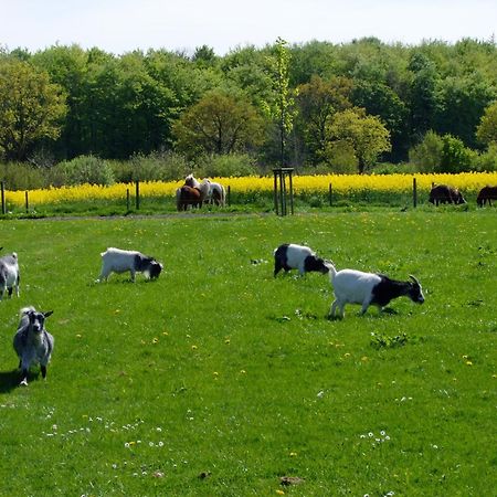 Ferienwohnungen Auf Dem Ferienhof Sell Stoltebüll Buitenkant foto
